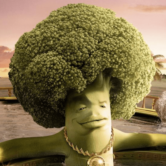 my profile picture